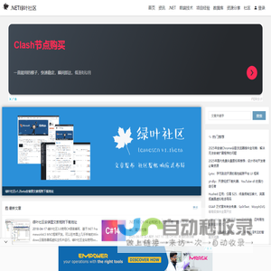 网站截图